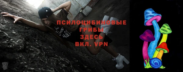 прущие грибы Баксан