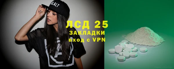 прущие грибы Баксан