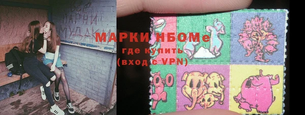 прущие грибы Баксан