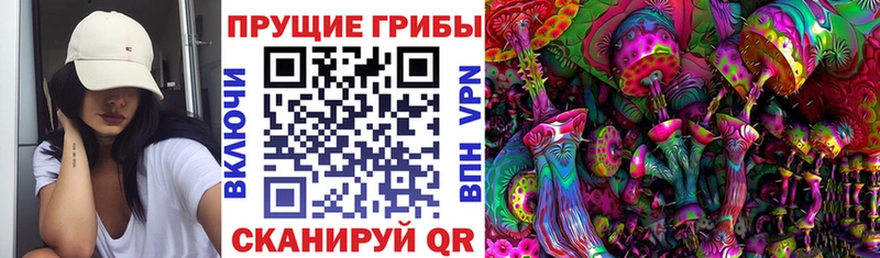 закладка  Белая Калитва  Псилоцибиновые грибы Cubensis 